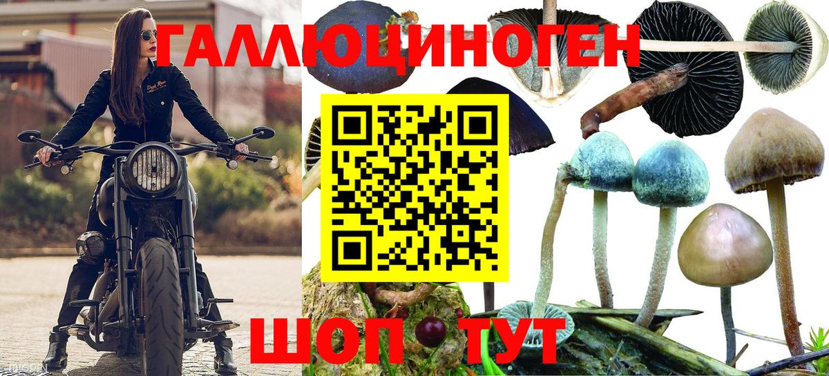 Симферополь  Галлюциногенные грибы мицелий  Вход с VPN  Псилоцибиновые грибы Cubensis 