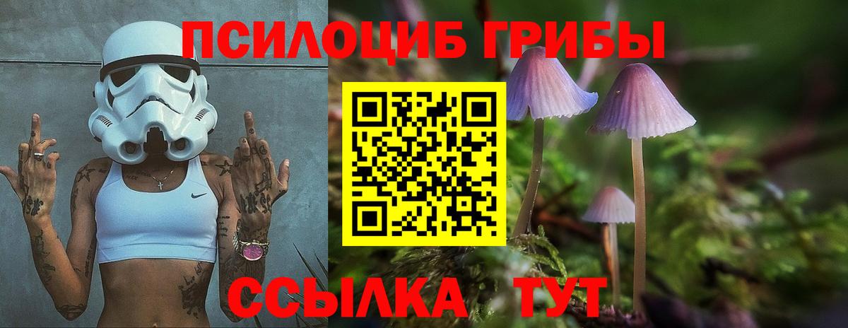 Псилоцибиновые грибы Cubensis Симферополь